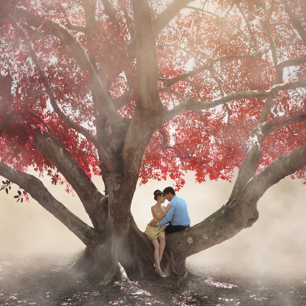 Meet your posher, Heather!